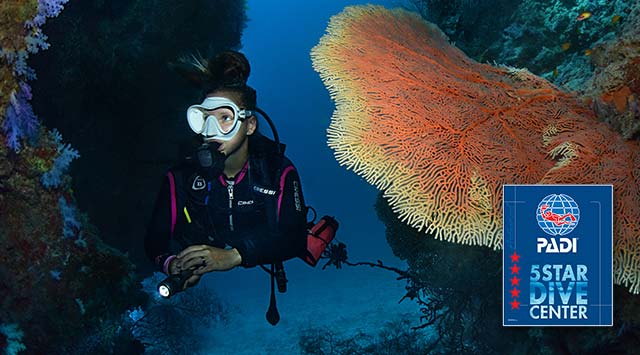 Sea-Explorer Maldives, Relax under Pressure Sea-Explorer Maldives, Relax under Pressure